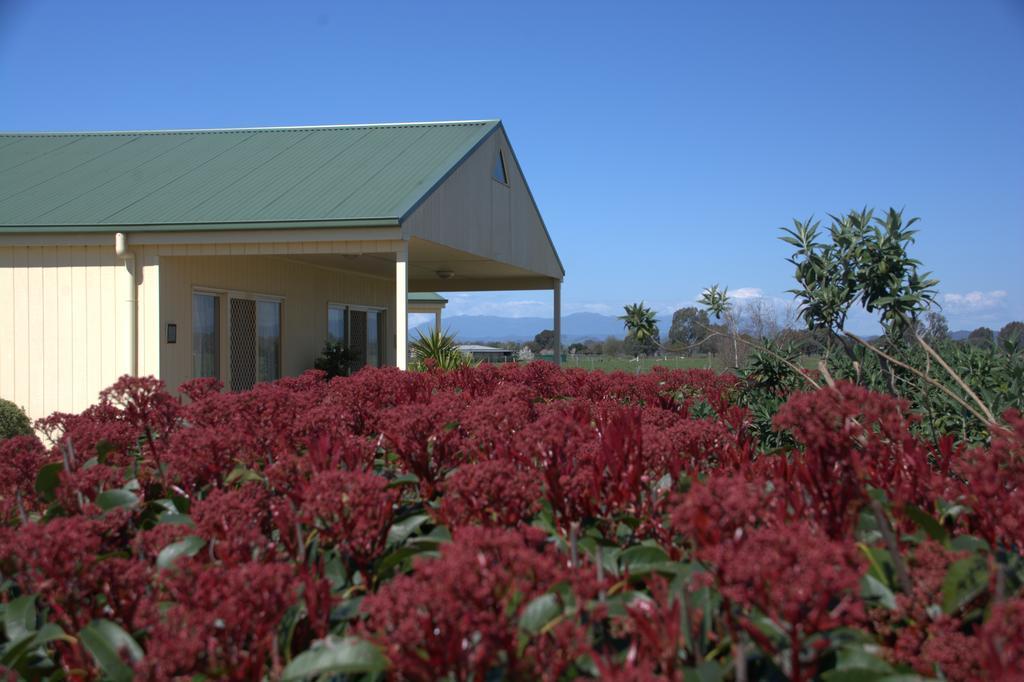 Milawa Muscat Retreat B&B Buitenkant foto