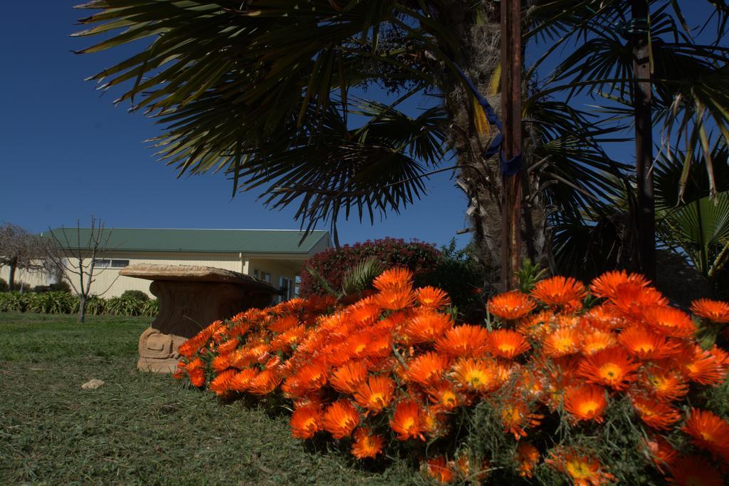 Milawa Muscat Retreat B&B Buitenkant foto